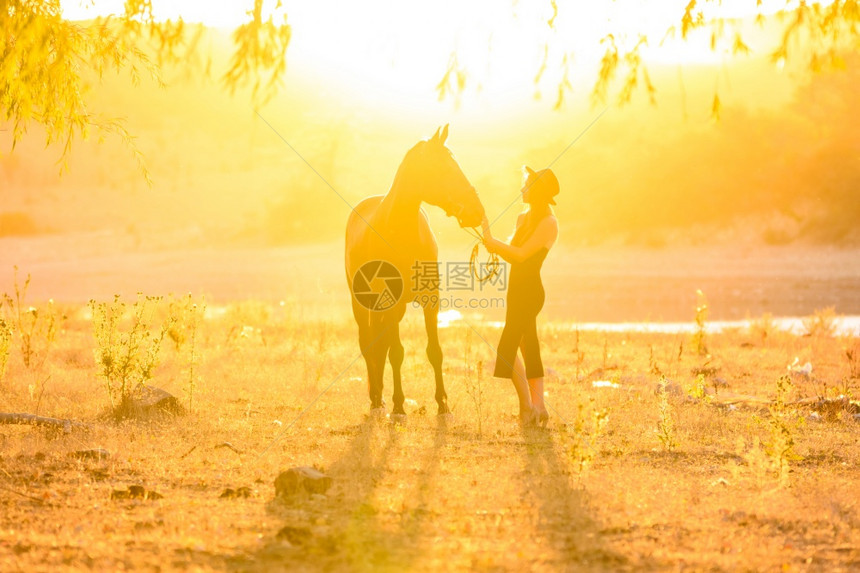 日落后光照耀着一匹马的女孩图片
