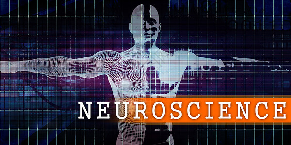 神经科学医工业与人体身扫描概念神经科学医工业图片