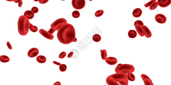 红血细胞通过循环系统流动背景图片