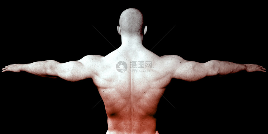 医学解剖艺术人类身体介绍背景人类身体介绍背景图片