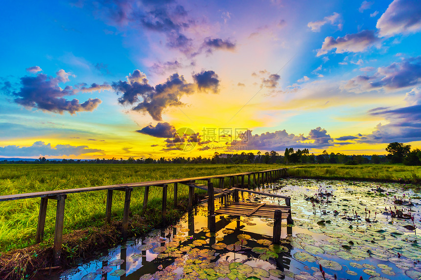 泰国纳洪拉奇西马孔布里有着100年历史的稻田与日落之间的木桥图片