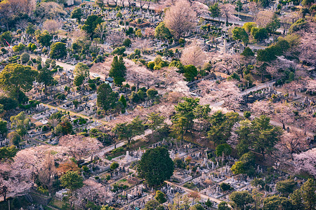 日本东京青山空中观景图片