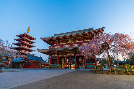 清晨有春樱花的森素二寺日本东京高清图片