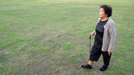 在草原上高级妇女带着拐杖走在草原上背景图片