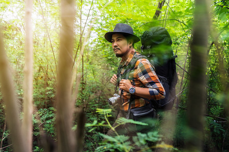 背着包的男旅行者在自然森林中行走时向边图片