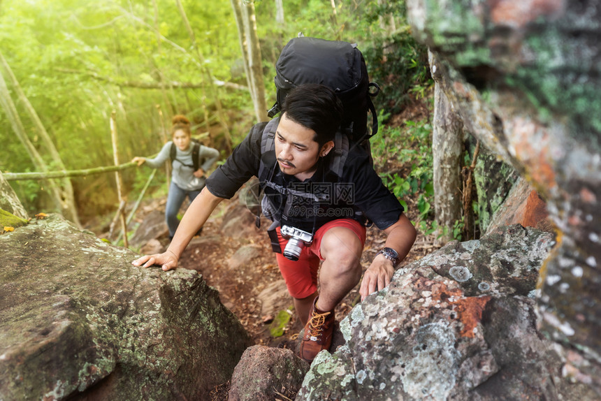 一群登山者在森林中攀登图片