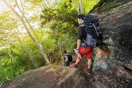 一群登山者在森林中攀登图片