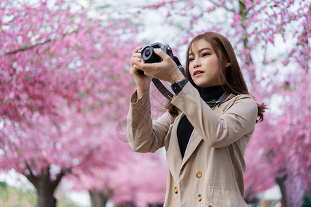 年轻女旅行者看着樱花或拿着相机在公园拍照图片