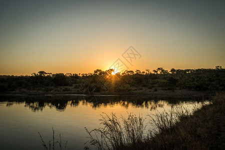 南非克鲁格公园日落图片