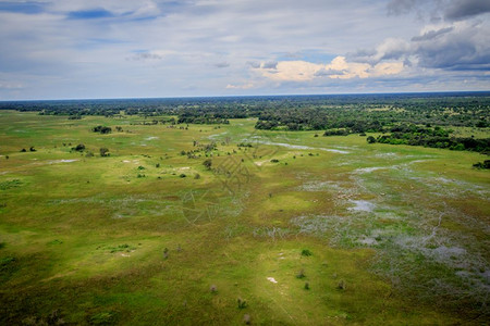 博茨瓦纳奥卡万戈三角洲的空中景象图片