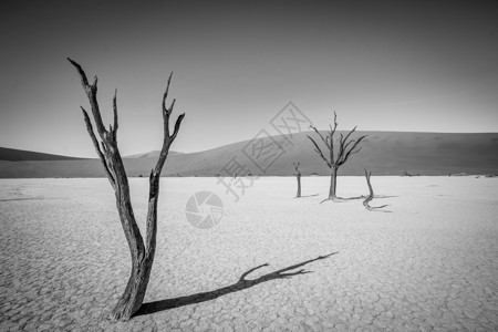 在南比亚的索苏夫莱沙漠高清图片