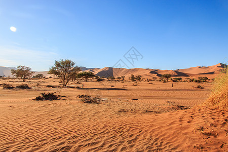 热夫雷尚贝坦纳米比亚布沙漠的丘背景