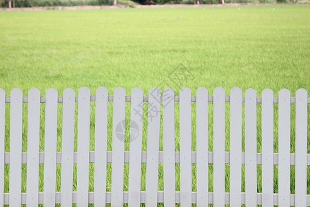 绿色草坪背景上的白栅栏背景图片