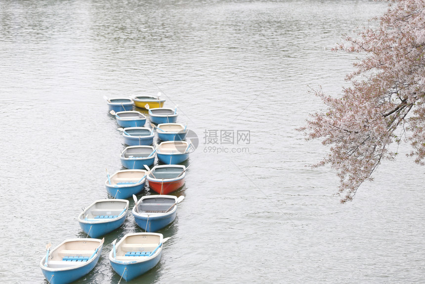 在Chidorigafuchi公园的河里有许多船图片