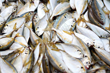 海鲜市场有很多黄流鱼类高清图片