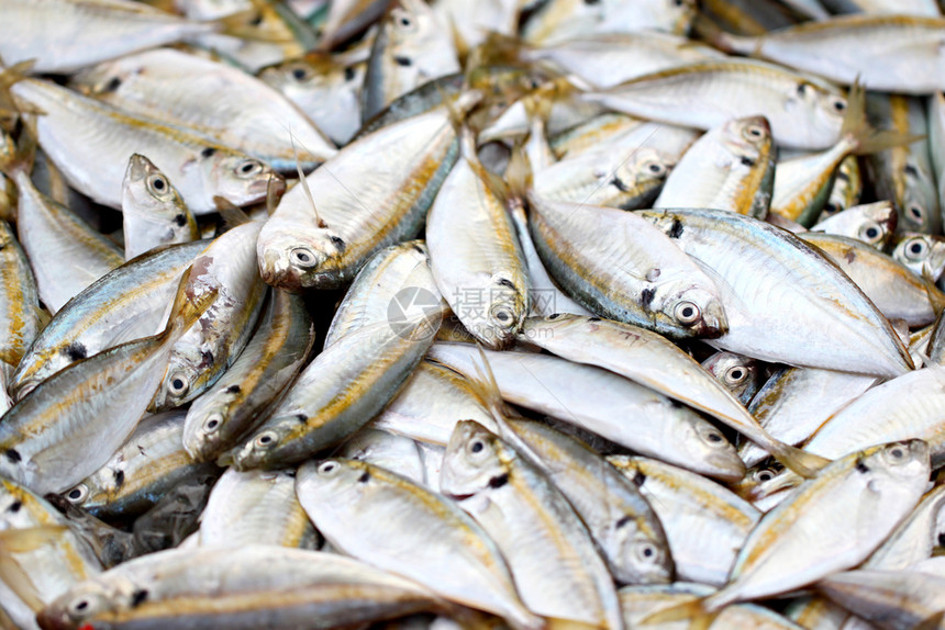 海鲜市场有很多黄流鱼类图片