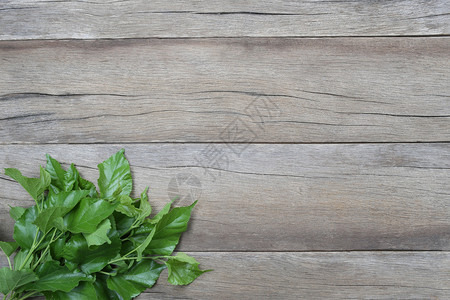 木制背景上的莓绿叶用于自然设计背景图片