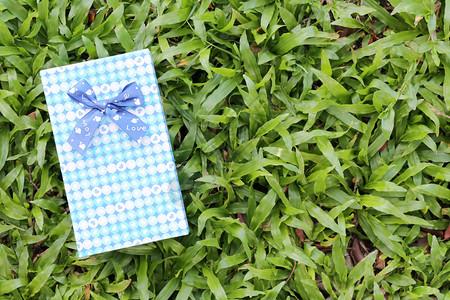 绿色草坪节日礼物概念圣诞节或新年的蓝礼物盒图片