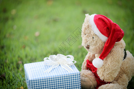 泰迪熊和礼品盒在草坪上概念赠送礼物在节日和圣诞活动图片