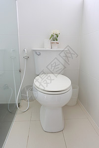屋子内浴室的卫生用品背景图片