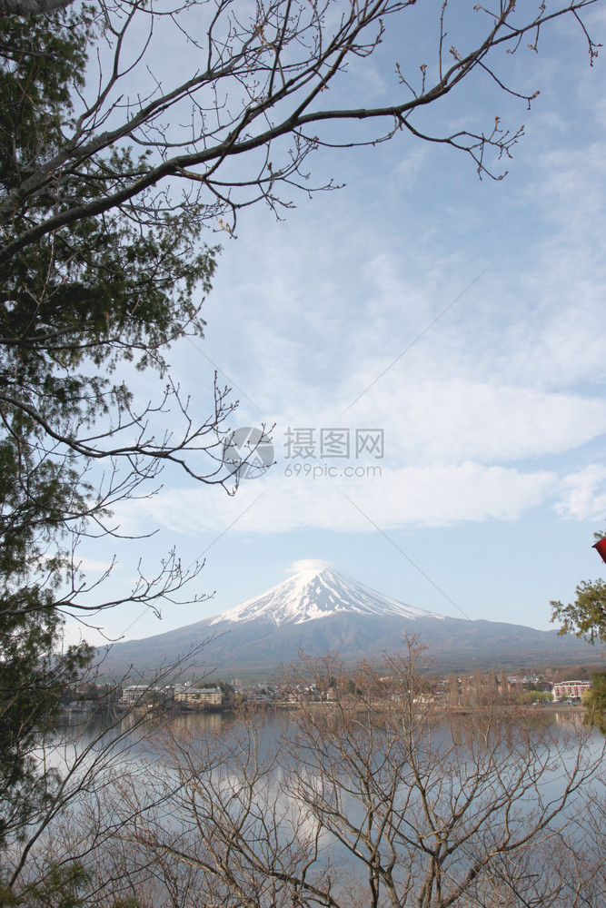 富士山和树枝图片