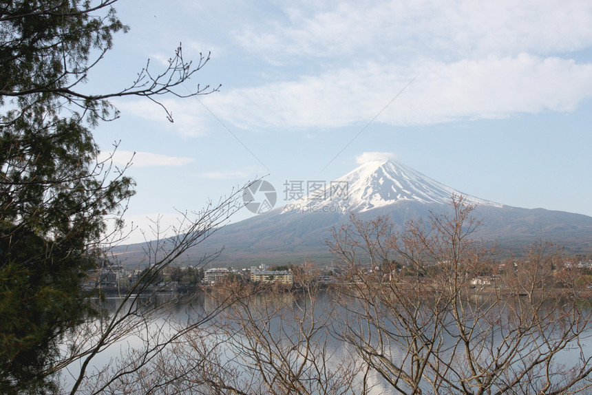 富士山和树枝图片