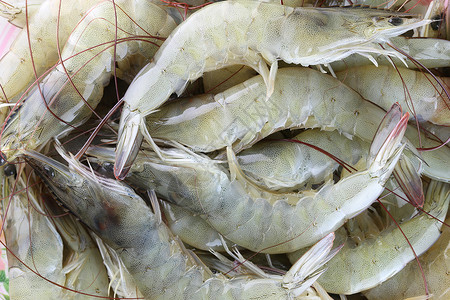 价值对等泰国在烹饪白虾或vannamei水产养殖业中将新鲜生虾作为加料对出口具有很高的经济价值背景