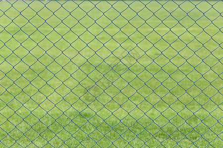 花园里绿草坪的铁丝网或笼设计背景图片