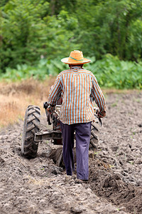 推水车的农民农民在控制推车工作为稻米种植区恢复土壤作物背景