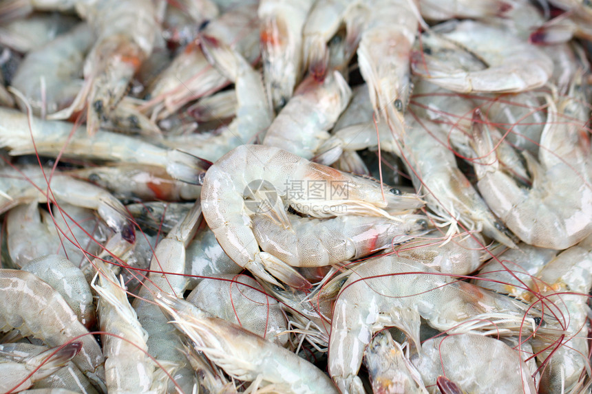 海鲜市场上的新虾用于背景图像图片