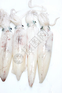 鱿鱼嘴新鲜的Loligo粗俗鱿鱼海鲜孤立在白色背景背景