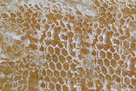 蜂窝和蜜设计食物的自然背景图片