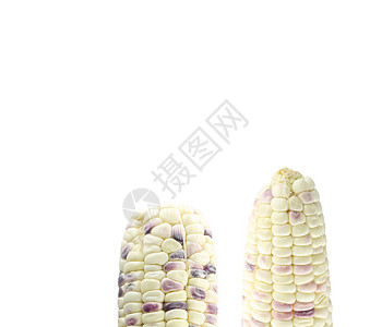 半个新鲜的白色玉米孤立在白色背景图片
