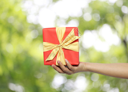 女人的手拿着一个红色的礼盒背景是模糊的绿色波基概念的爱情和情人节图片