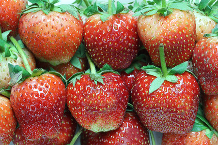 用于设计食物和健康概念的新鲜草莓堆图片