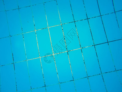 游泳池底部蓝色瓷砖的纹身图片