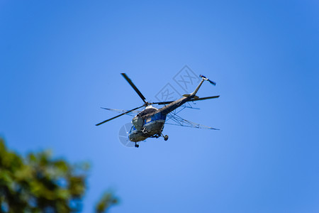 一架农业航空直升机在蓝天飞行背景图片