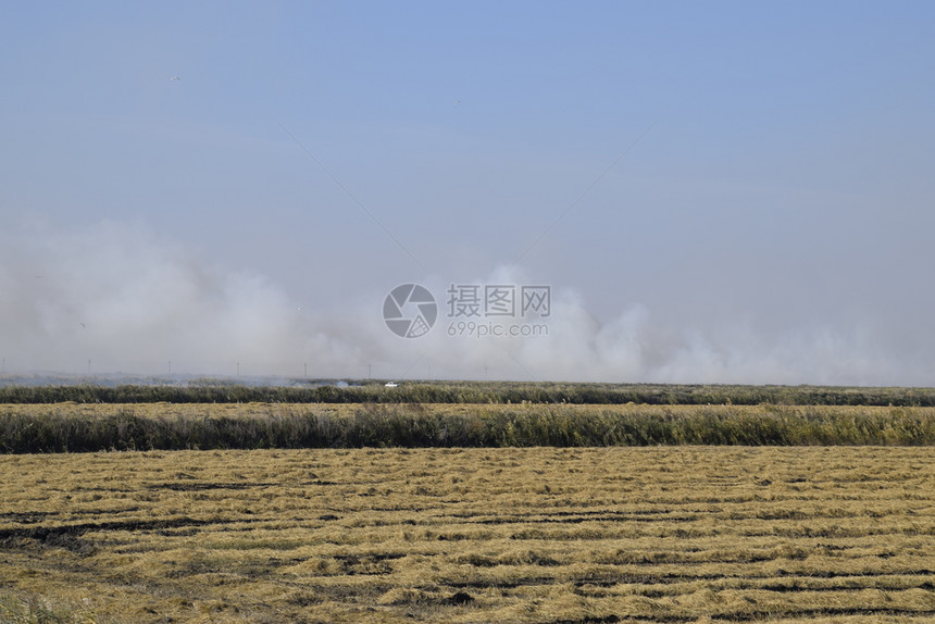 景观燃烧场在田野里焚烧稻草稻田景观燃烧场在田野里焚烧稻草稻田酒店图片