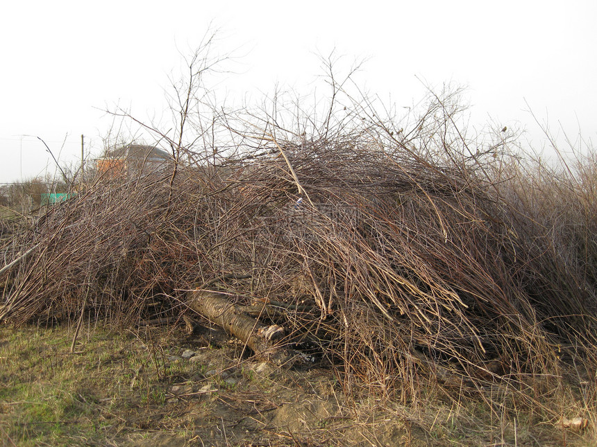 砍伐树枝的地皮清理额外树木的地皮砍伐树枝的地皮图片