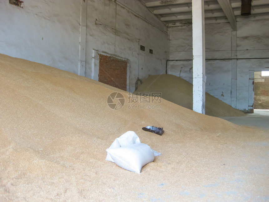 储存大麦和小在向消费者交付粮食之前储存谷物大麦和小图片