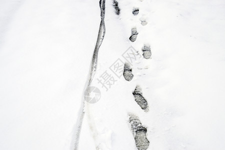 雪地里的人类脚印雪中的小路雪地里的人类脚印雪中的小路图片