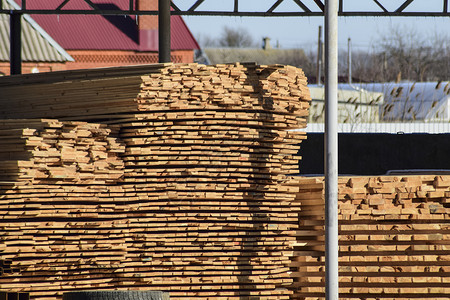 建筑材料仓库木板堆在树冠下建筑材料仓库木板堆在树冠下背景图片