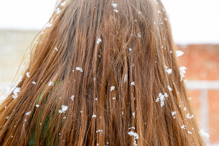 女孩头部在雪花中女孩头发上有雪花女孩头发上有雪花图片