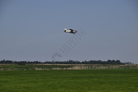 飞机在野外喷洒化肥和杀虫剂背景图片