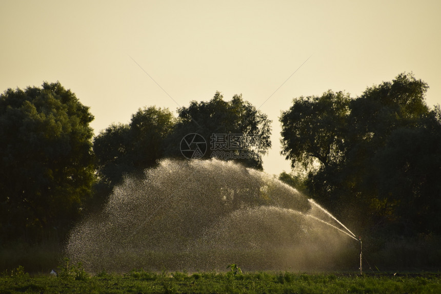 甜瓜田的灌溉系统给田地浇水SprinklerSprinkler瓜田的灌溉系统给田地浇水Sprinkler图片