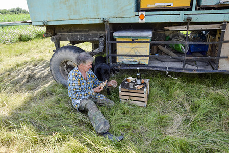 蜂巢拖车老养蜂者在小屋里用窝吃午餐喂养他的狗背景