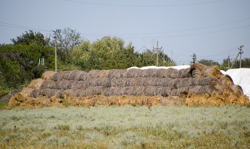 干草领域干草的皮露天干储存露天的干草皮露天干储存背景