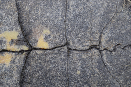 龟壳的背景纹理龟壳龟壳的背景纹理龟壳背景图片