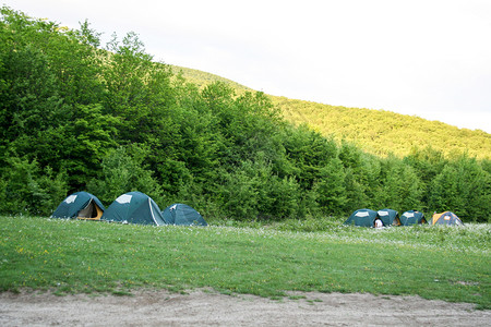 旅游者在帐篷中的木材休息难民营的森林中旅游帐篷图片