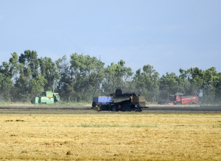 农用机械收割谷物的机器收割农用械图片